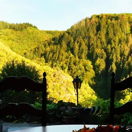 Ferienwohnung Willems * Waldbreitbach